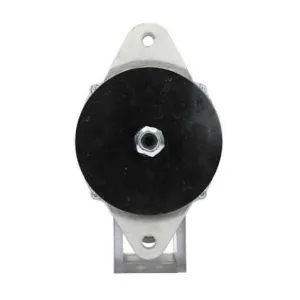 Alternateur Daewoo 50A, Remy 1117042, Remy 1117615, Remy 1117619