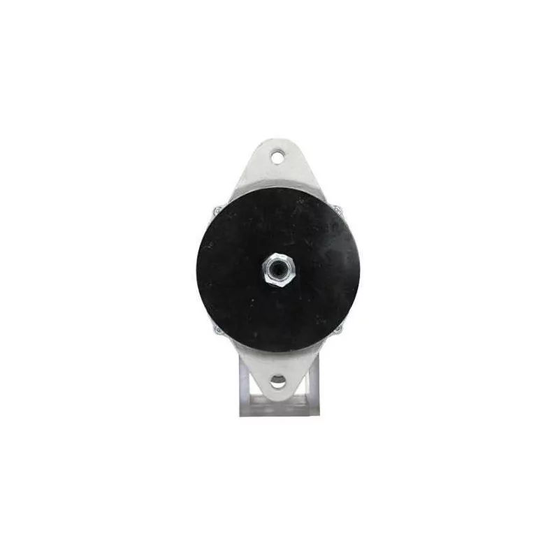 Lichtmaschine Daewoo 50A, Remy 1117042, Remy 1117615, Remy 1117619 Lichtmaschine Daewoo 50A, Remy 1117042, Remy 1117615, Remy 1117619