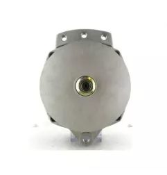 Caterpillar 100A Lichtmaschine, Andre Niermann 02110298, Lester 10298, Dixie 10918201, Cargo 110175