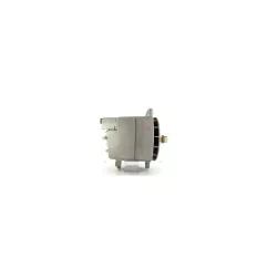 Alternador Caterpillar 100A, Andre Niermann 02110298, Lester 10298, Dixie 10918201, Cargo 110175