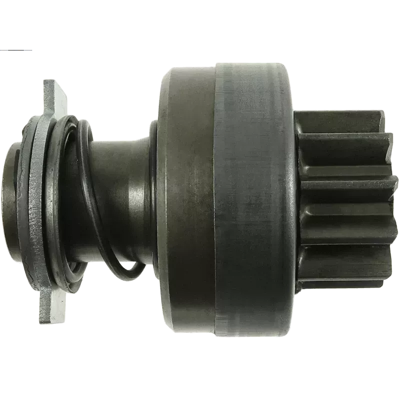 copia di copia di copia di copia di copia di copia di copia di copia di copia di copia di copia di copia di copia di Pignon / la