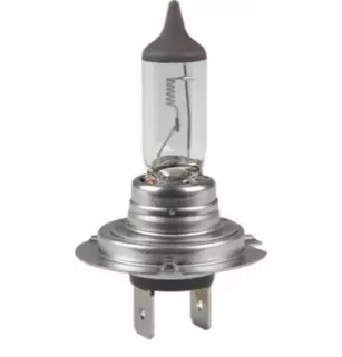 Cheap H7 24V bulb