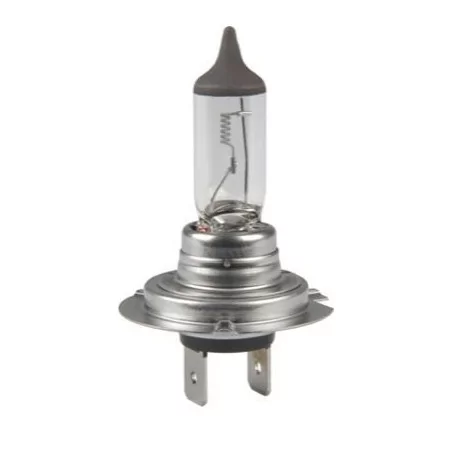 H7 24V Long life bulb