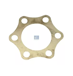 Lamelle, accouplement d'injection Pour Scania 3-Serie Bus, 3-Serie - 1111494 - 318523 - ZG.02260-0008
