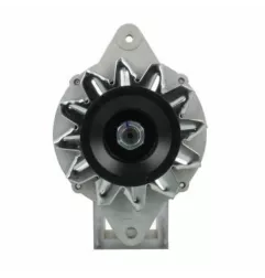 Lichtmaschine Nissan 25A Andre Niermann 022588 Cargo 112477 EAI 12324