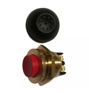 Brass push start button