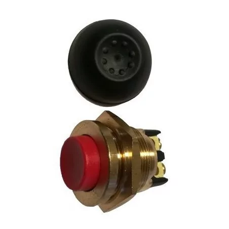 Brass push start button