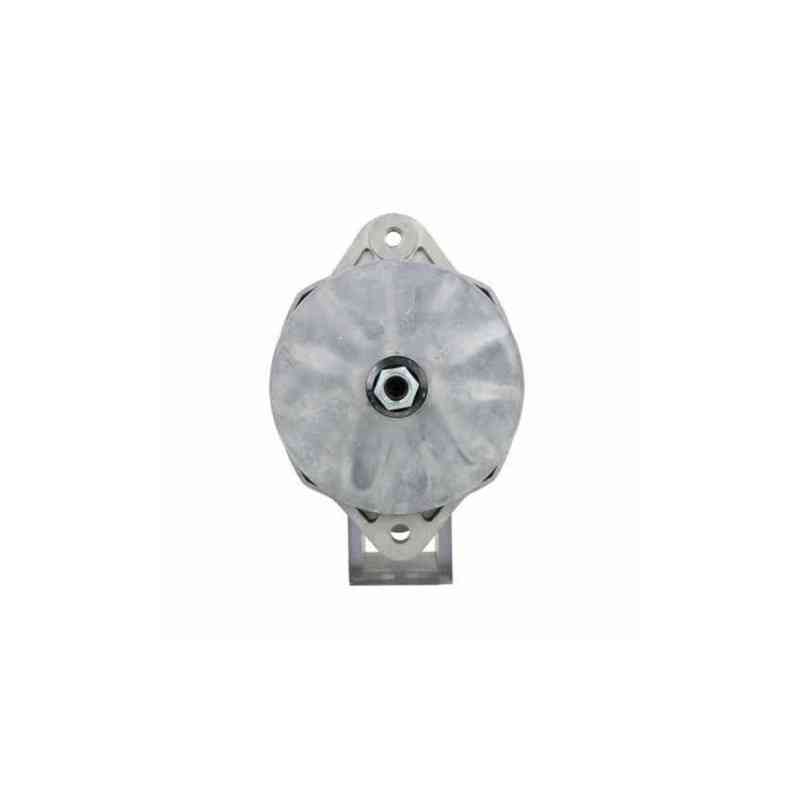 Alternatore Caterpillar 60A 3331184 Remy 36SI PSH 646031060 Remy 8600400 Alternatore Caterpillar 60A 3331184 Remy 36SI PSH 646031060 Remy 8600400