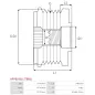 Poulie lente d’alternateur AS-PL UD810441(LITENS)AFP, CARGO 335568, IKA 3.5515.1, INA 535028810, LITENS 920814, RUVILLE 57800