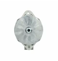 Alternatore Caterpillar 170A Remy 36SI PSH 645044170 Remy 8600126 Daf D273001013