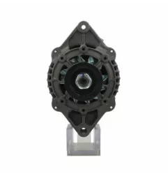 Cummins 95A Cargo 115680 Remy 19020204 PIC 2406344 Cummins 4988274 Lichtmaschine