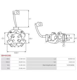 Porte-balais de démarreur pour DENSO 4280000023, 4280000340, 428000034