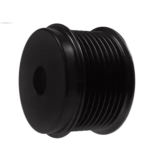 Poulie d’alternateur AS-PL UD41229AP, BOSCH F00M991253, F00M991338, ELECTROLOG PUL1284, PUL1284i, WOODAUTO BOSF00M991338