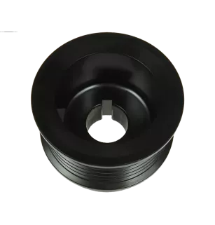Poulie d’alternateur AS-PL UD45900AP pour BOSCH 0120469744
