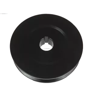Poulie d’alternateur AS-PL UD21282AP, BOSCH 9121450499, ZEN 5318, WAPSA 404026