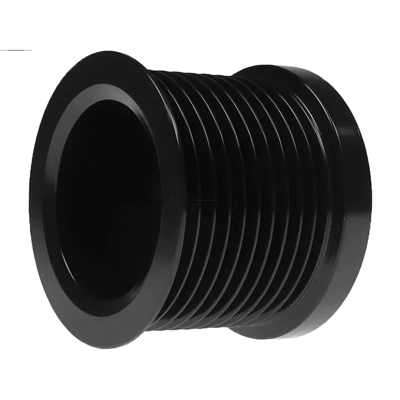 Poulie d’alternateur AS-PL UD46588AP pour AS-PL 0124655118