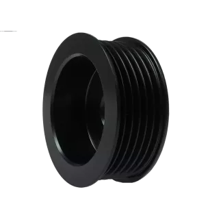 Poulie d’alternateur AS-PL UD46899AP pour BOSCH 0123310010