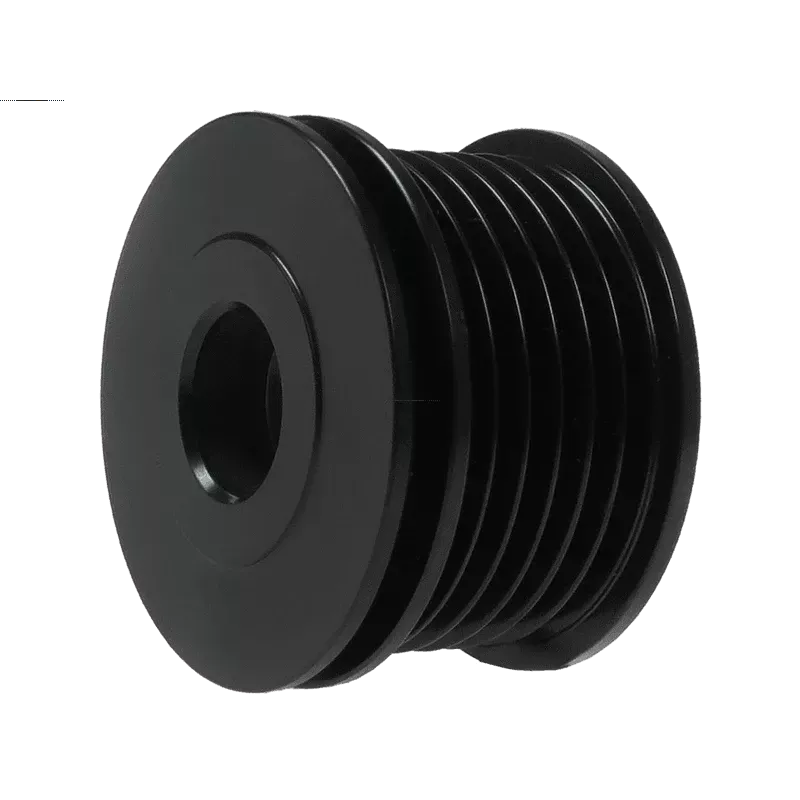 Poulie d’alternateur AS-PL UD48206AP, BOSCH F00M391111