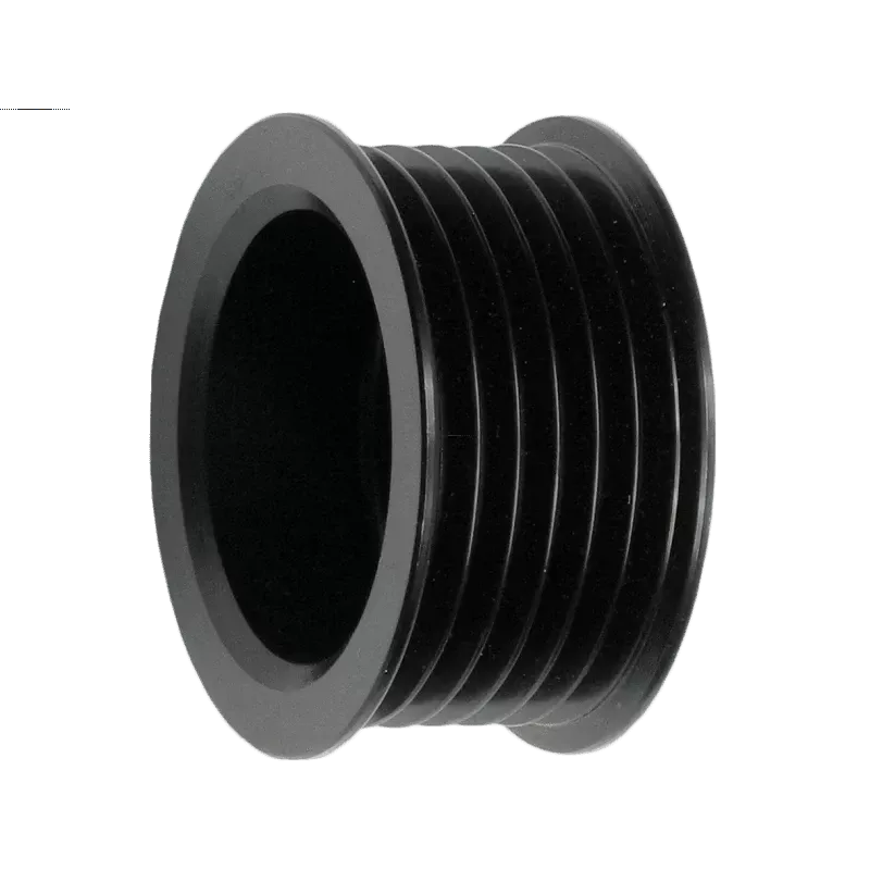 Poulie d’alternateur CARGO 235373, VALEO 593331, ELECTROLOG PUL0059