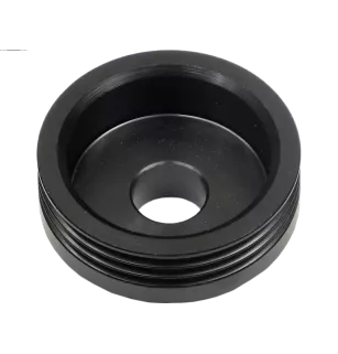 Poulie d’alternateur CARGO 235466, VALEO 593768, ELECTROLOG PUL0062, KRAUF APV5466