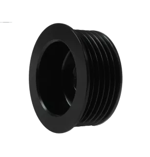 Poulie d’alternateur AS-PL UD51329AP, CARGO 136958, VALEO 593702, 593748, 593757, 593758, KRAUF APV6958, POWERMAX 81111068