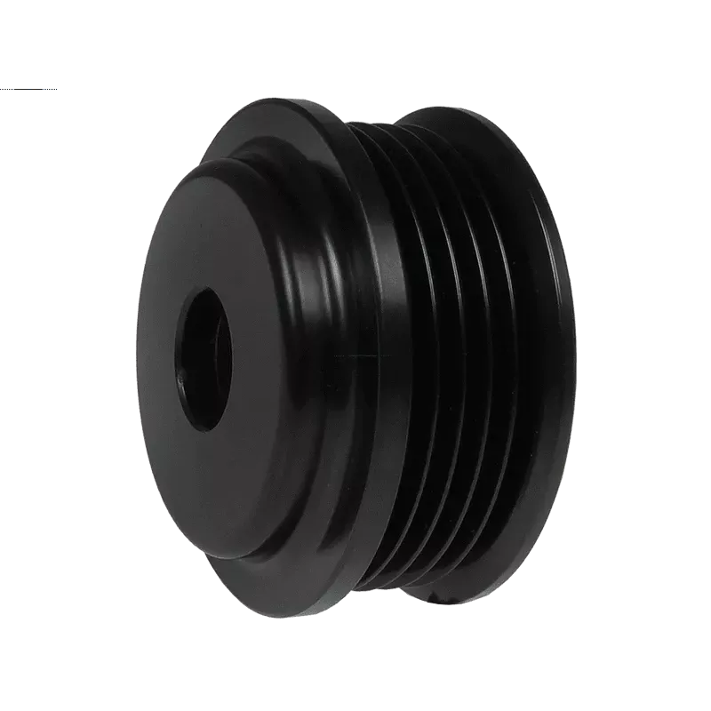 Poulie d’alternateur CARGO 139074, MAGNETI MARELLI 85561051, CQ CQ1040552, ELECTROLOG PUL9009, LUCAS 085561051010