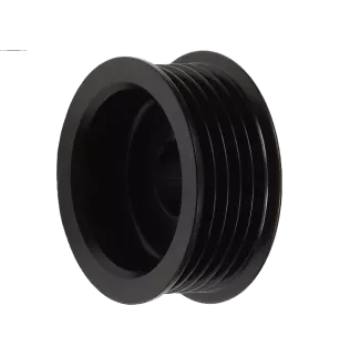 Poulie d’alternateur CARGO 234627, MAGNETI MARELLI 85562741, CQ CQ1040481, ELECTROLOG PUL4081, LUCAS 085562741010
