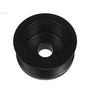 AS-PL UD51489AP alternator pulley, cargo 234843