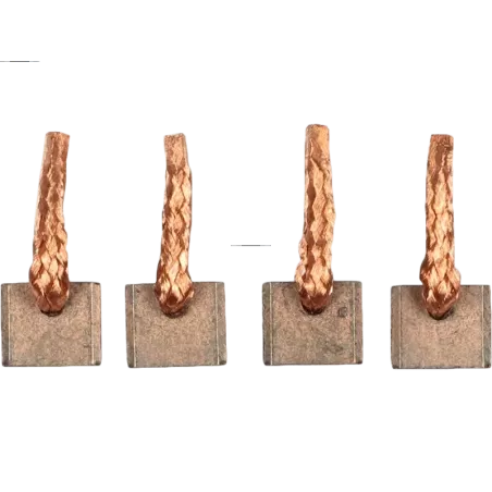 Charbon/balais de démarreur pour DELCO 8000048, 8000169, 8000180, 8000225