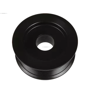 Poulie d’alternateur AS-PL UD49219AP pour AS-PL A5310