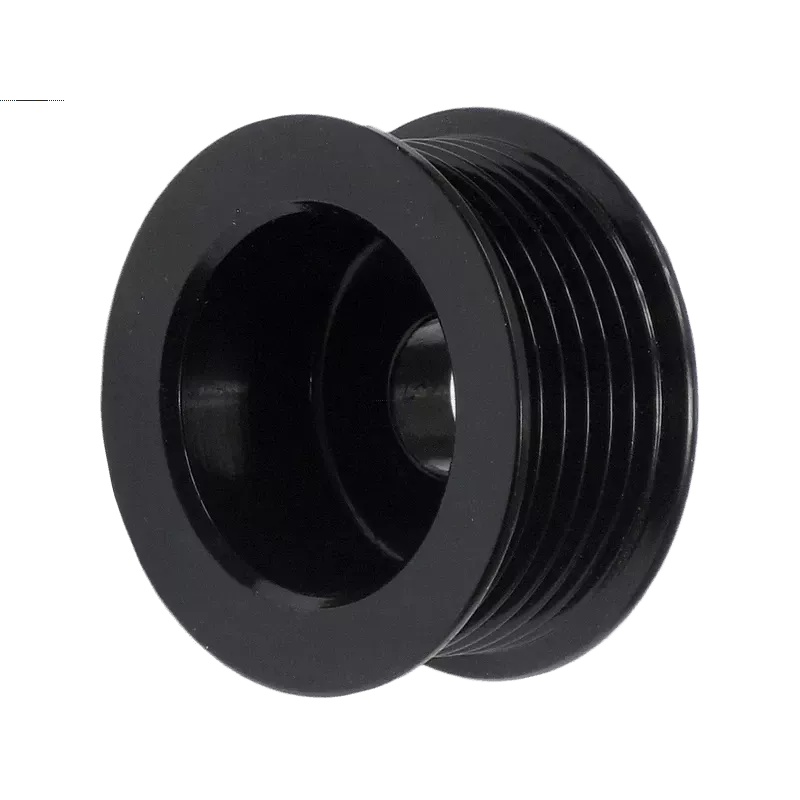 Poulie d’alternateur AS-PL UD41932AP, CARGO 236489, DENSO 021041-7420, ELECTROLOG PUL6060 pour DENSO 1002117860, 1002117861