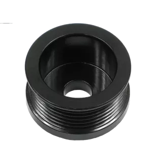 Poulie d’alternateur AS-PL UD10329AP pour DENSO 1012117892