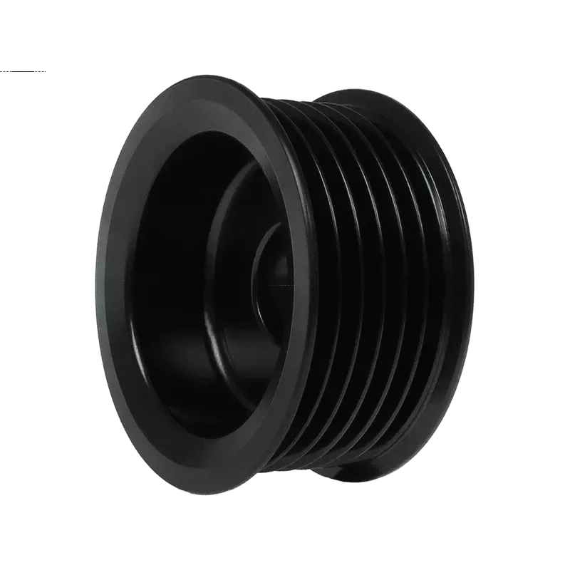 Puleggia alternatore AS-PL41940AP per DENSO 1022113102 Puleggia alternatore AS-PL41940AP per DENSO 1022113102