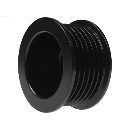 Poulie d’alternateur AS-PL UD50217AP, KRAUF APD0746, DAEWOO 96540541, 96540542, AS-PL A9013, A9046