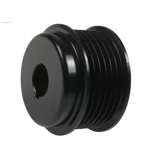 BOSCH-Generatorscheibe 0120489325, AS-PL A0031