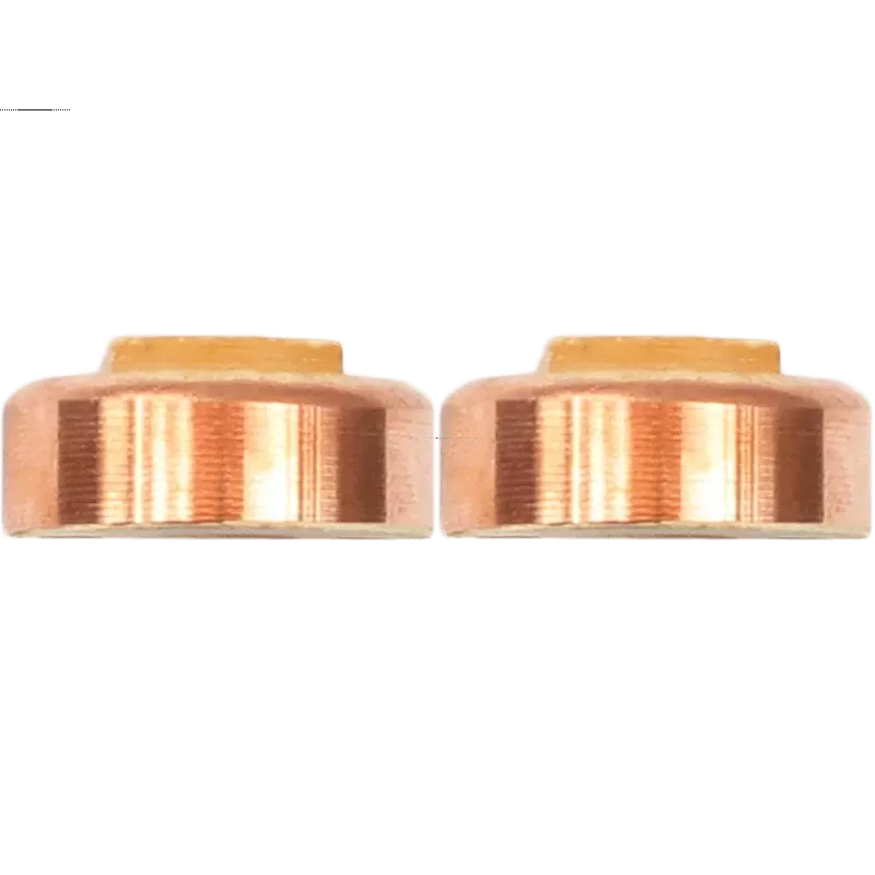 Anello di squillo alternatore del carico 131817, IKA 1.2041.0 Anello di squillo alternatore del carico 131817, IKA 1.2041.0