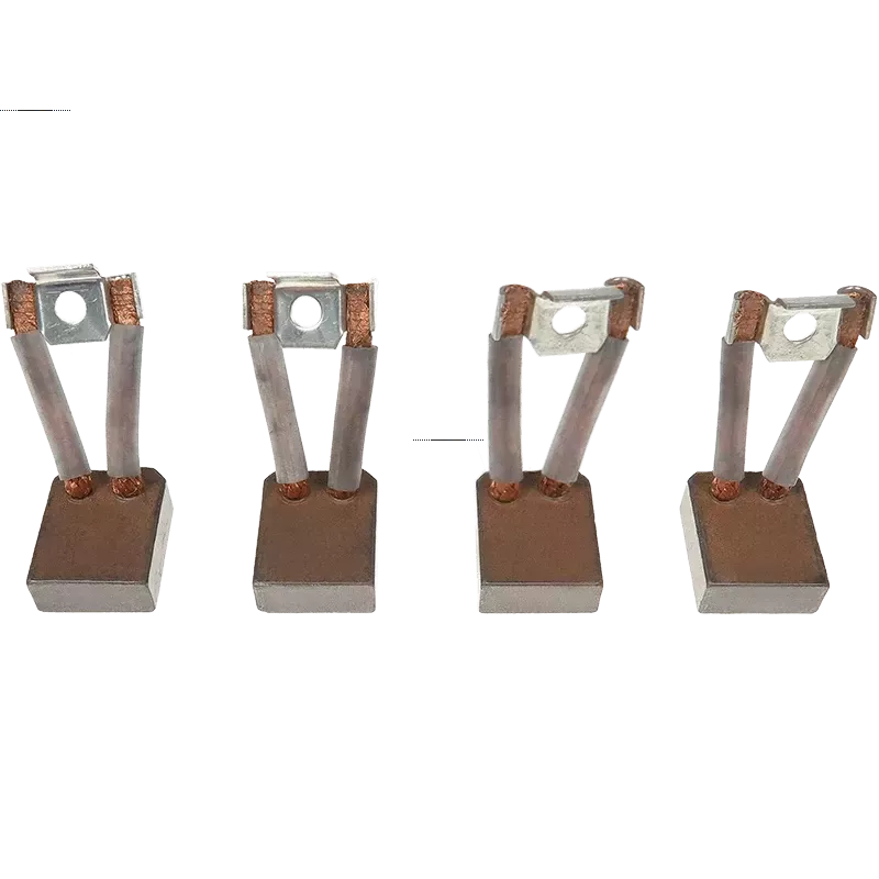 Kopie von Kopie von Kopie von Kopie von Kopie von Charbon/balais de démarreur