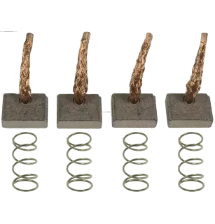 Charbon/balais de démarreur pour ISKRA / LETRIKA 11131745, 11132031, 1