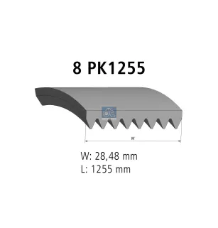 Courroie multi-nervures, 8 PK, L: 1255 mm, W: 28.5 mm, 8PK1255 Pour MAN TG-Serie - Scania 4-Serie, P96, P, G, R, T-Serie.