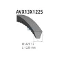 Courroie, L: 1225 mm, W: 13 mm, AVX13X1225 Pour Iveco Eurocargo - Mack Mid-Liner - MAN Chassis, D-engines, F 7/8/9, G/M/F 90.