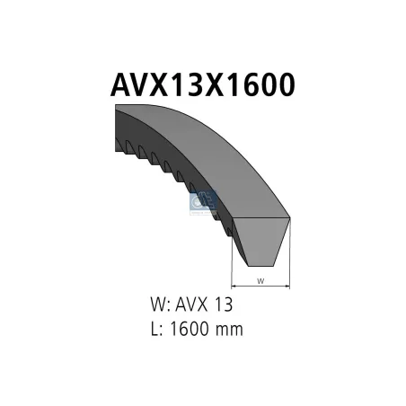 Courroie, L: 1600 mm, W: 13 mm, AVX13X1600 Pour MAN D-engines, F 7/8/9, G/M/F 90, S-Busse - Scania 3-Serie Bus, 3-Serie, P96.