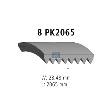 Courroie multi-nervures, 8 PK, L: 2065 mm, W: 28.5 mm, 8PK2065 Pour DAF CF, XF, XG - Scania 4-Serie Bus - 2014067