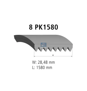 Courroie multi-nervures, 8 PK, L: 1580 mm, W: 28.5 mm, 8PK1580 Pour MAN Chassis, D-engines, G/M/F 90, Lion's, L/M/F/E 2000.