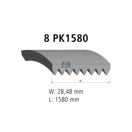 Courroie multi-nervures, 8 PK, L: 1580 mm, W: 28.5 mm, 8PK1580 Pour MAN Chassis, D-engines, G/M/F 90, Lion's, L/M/F/E 2000.