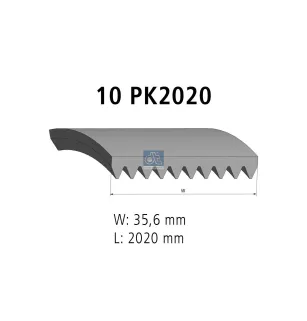 Courroie multi-nervures, 10 PK, L: 2020 mm, W: 35.6 mm, 10PK2020 Pour Scania E2011, F, K, N-Serie, P, G, R, T-Serie.