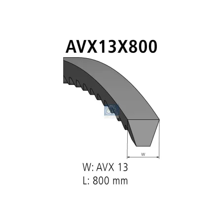 Courroie, L: 800 mm, W: 13 mm, AVX13X800 Pour VW LT - BMW tbd - 195510510308 - 60513447 - 60704054 - 026260849