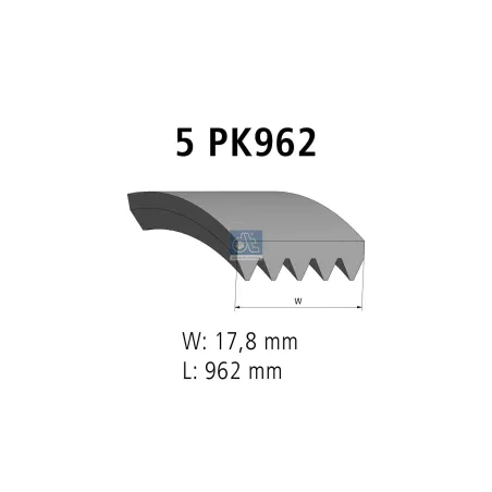 Courroie multi-nervures, 5 PK, L: 962 mm, W: 17.8 mm, 5PK962 Pour Citroën Jumper - Fiat Ducato - Peugeot Boxer - 5750K4.