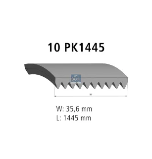 Courroie multi-nervures, 10 PK, L: 1445 mm, W: 35.6 mm, 10PK1445 Pour Renault Kerax, Magnum, Midlum, Sisu Sisu / Renault