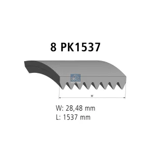 Courroie multi-nervures, 8 PK, L: 1537 mm, W: 28.5 mm, 8PK1537 Pour Mercedes-Benz Atego 1, Atego 2, Axor, Citaro, Econic 1