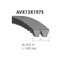 Courroie trapézoïdale composite, L: 1975 mm, W: 13 mm, AVX13X1975, 2 belts Pour Volvo B7, B6 - 0089971592 - A0089971592 - 978847